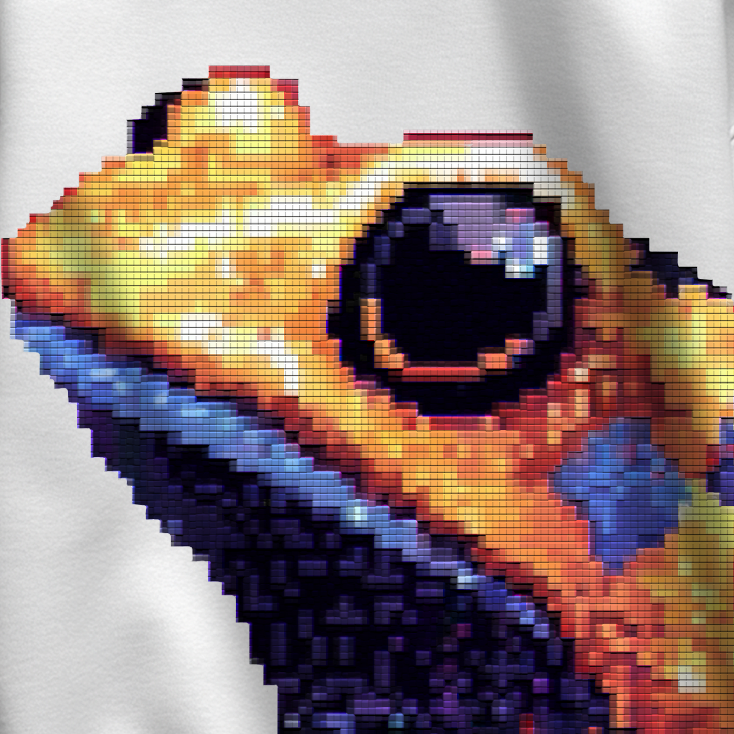 World of Frog Oversized Sweatshirt