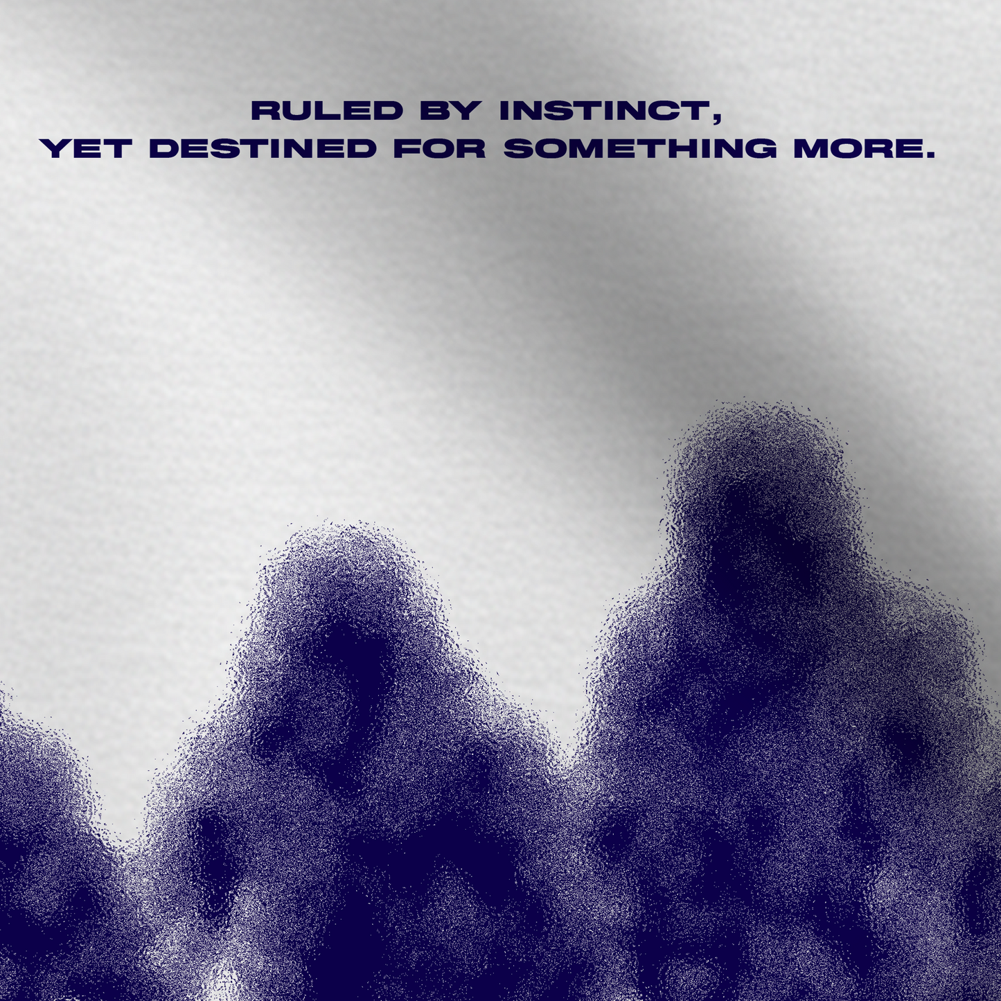 Primate Oversized Sweatshirt